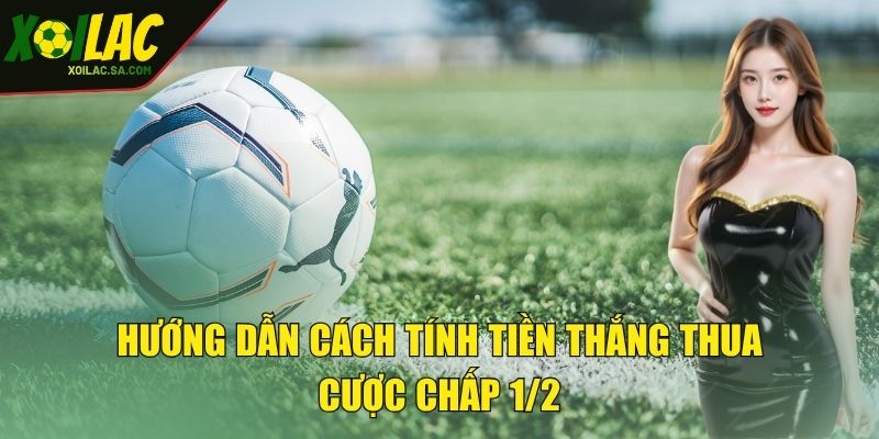Kèo Chấp 0.5 Là Gì? Kinh Nghiệm Nhận Định Hiệu Quả 3 Hướng dẫn cách tính tiền thắng thua cược chấp 1/2